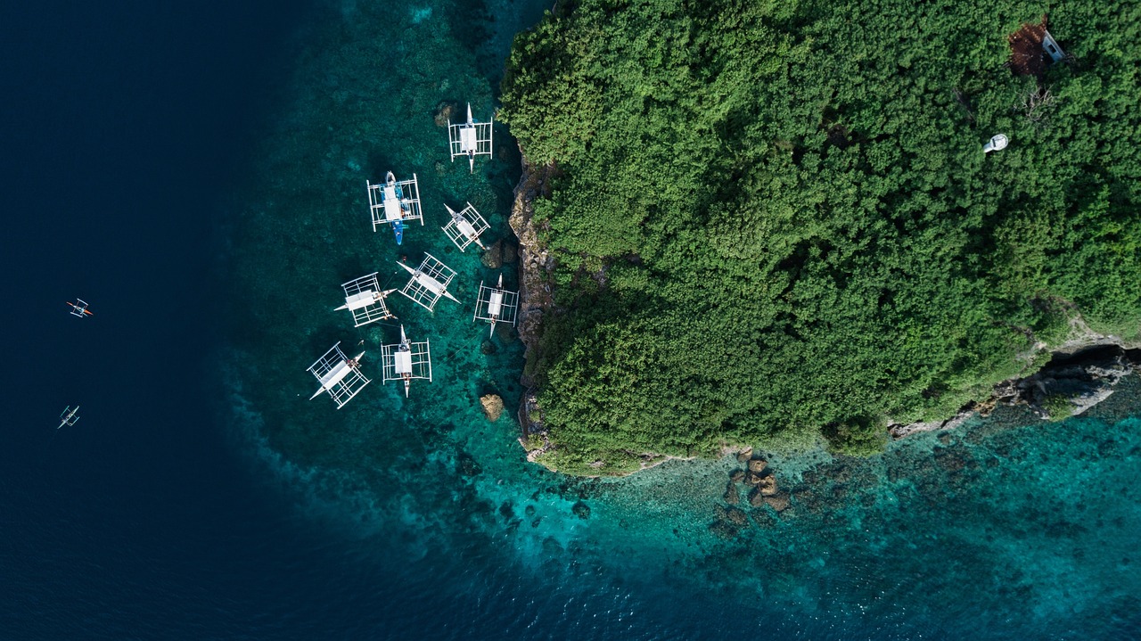 一梦红尘 第22页